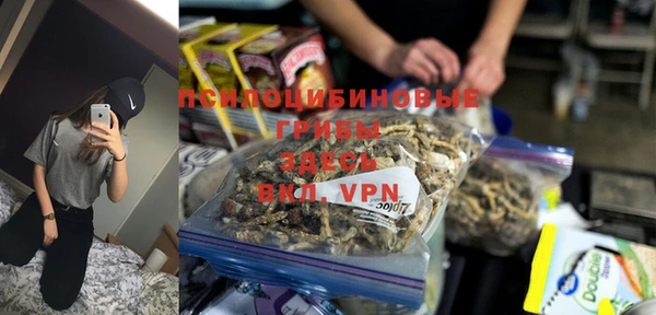 молекула духа Снежногорск
