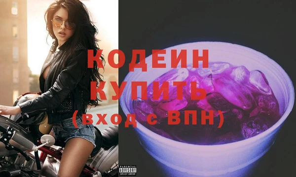 молекула духа Снежногорск
