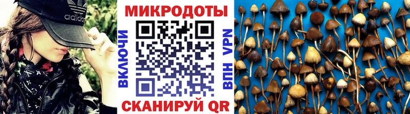 Галлюциногенные грибы Psilocybine cubensis  Купить закладки  Задонск 