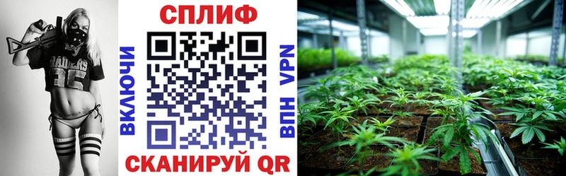 МАРИХУАНА White Widow  Купить где  Задонск